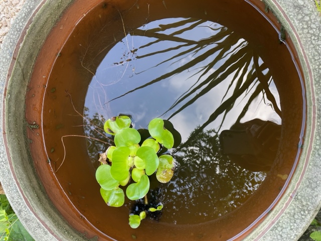 突然の雨に（バルコニー）