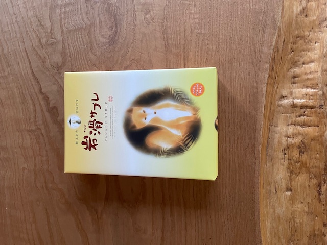 現場レポート✨（平屋建て・半田市）