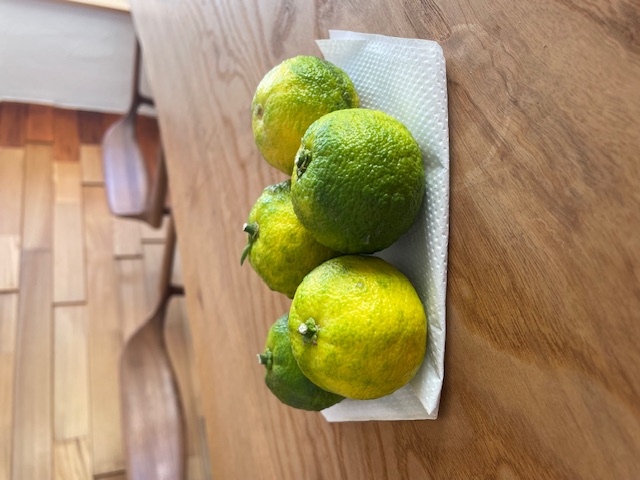 5年点検とフィルター交換へ✨（碧南市・東浦町）