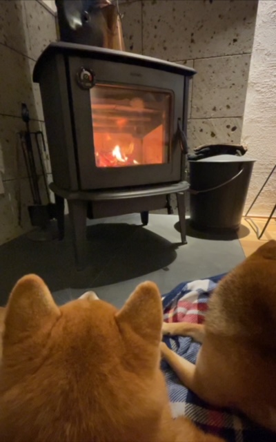試しに薪ストーブを✨