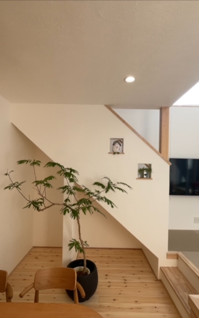 完成見学会のお礼✨（半田市）