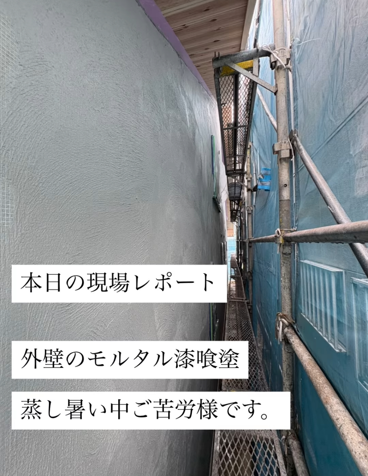 現場レポート✨(半田市)