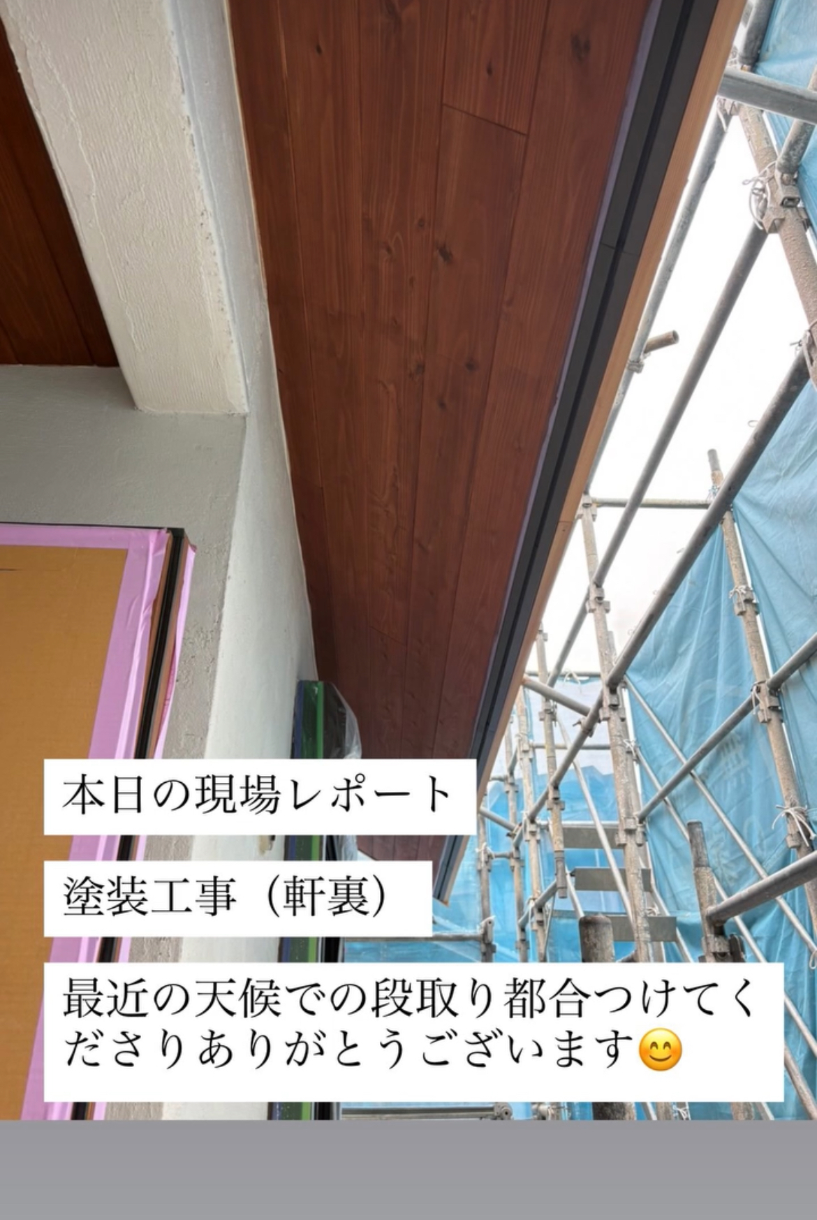 現場レポート✨(半田市)