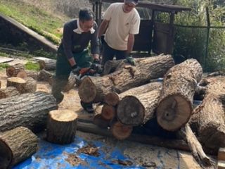薪割イベントへ✨（岐阜県）